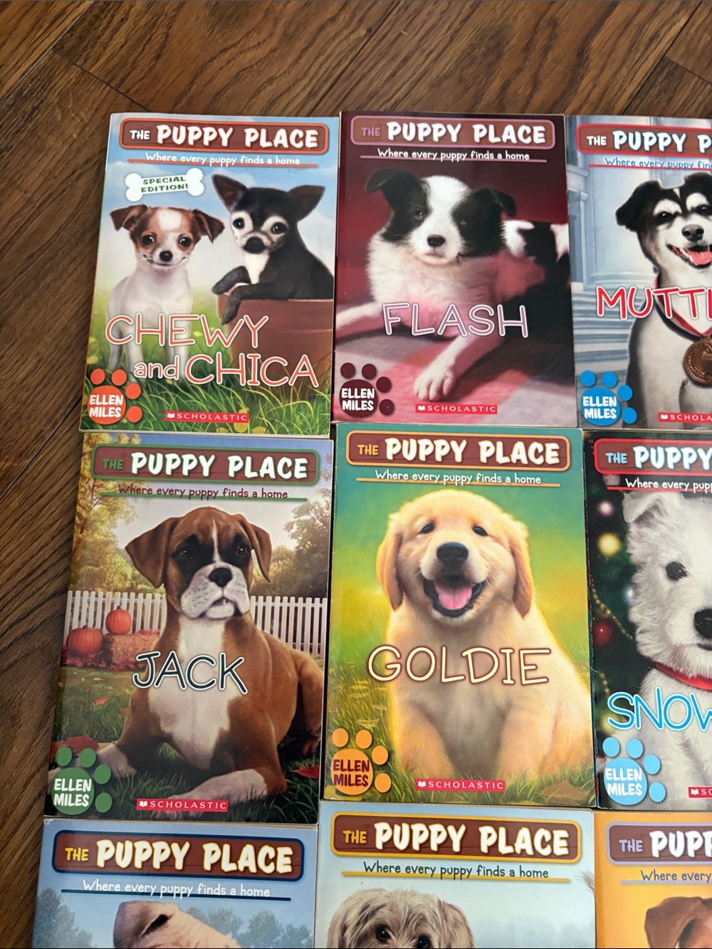 Scholastic Puppy Place Collection — Bright Multi‑Color Puppy Covers - Picture 2 of 9